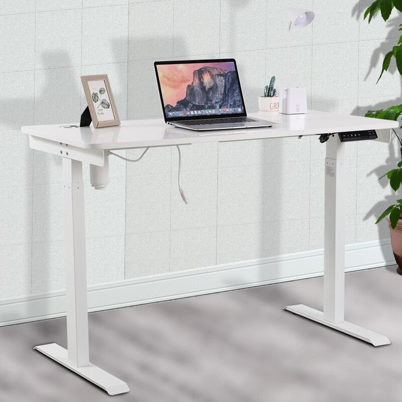 Single Motor Electric Height Adjustable Desk for Office Home Furniture