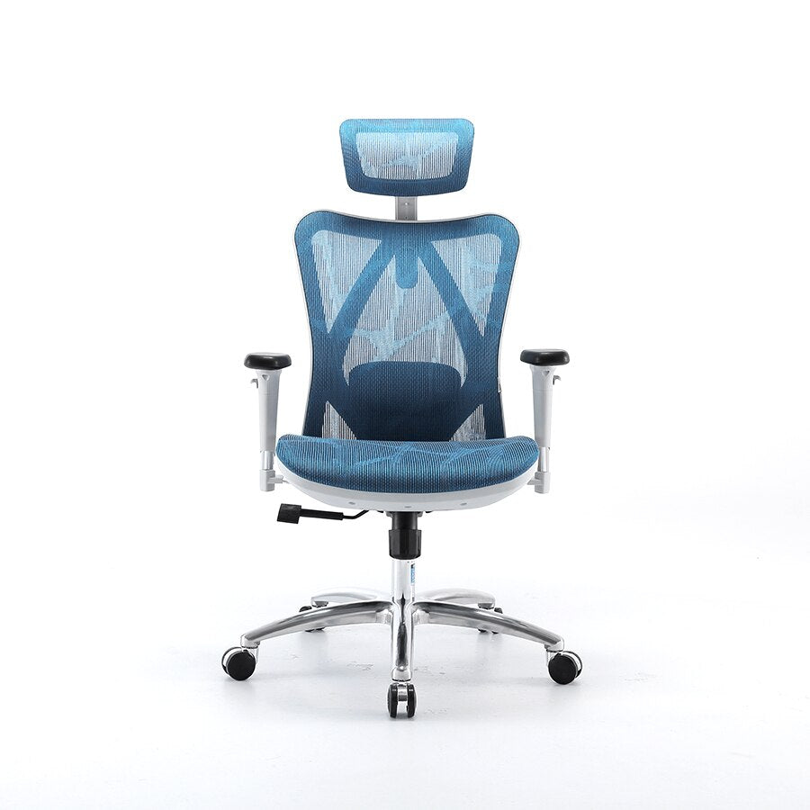 Chinese Modern Swivel Hot Salr Computer Sihoo M57 Ergonomic Executive High  Back Mesh BIFMA Comfortable Office Chair - China Adjustable Chair, Boss  Chair