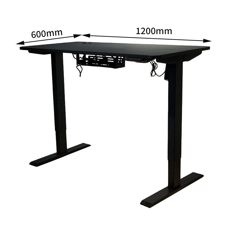 Free Shipping Multifunction Motor Electric lifting Office Tables Gaming Standing Computer Height Adjustable Desk
