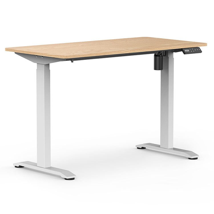Ergonomic Modern Office Computer Table Sit Stand Desk Single Motor Standing Desk Electric Height Adjustable White Desk Lifting